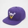 Vienna Vikings Snapback Cap 2024 Design 1 -Sports football 179 KH 020 4063237042973
