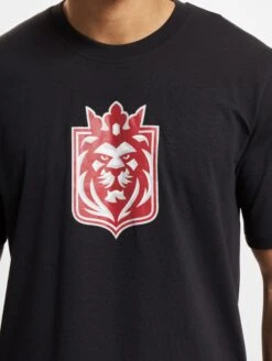 Prague Lions T-Shirt 2024 Design 1 -Sports football 253 KH 435 6081 4063237031229