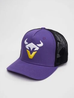 Vienna Vikings Trucker Cap 2024 Design 1