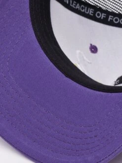 Vienna Vikings Trucker Cap 2024 Design 1 -Sports football 347 KH 166 4063237042997