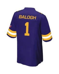 Vienna Vikings Authentic Game Jersey 2022 -Sports football VV Authentic Jersey 1 back